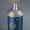 Blue Bluebird SL Cardioid Condenser Microphone in India imastudent.com