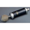 Blue Baby Bottle SL Cardioid Condenser Microphone in India imastudent.com