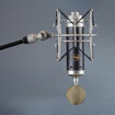 Blue Baby Bottle SL Cardioid Condenser Microphone in India imastudent.com