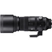 Sigma 150-600mm f/5-6.3 DG DN OS Sports Lens for Sony E in India imastudent.com