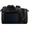 Panasonic Lumix GH5S Mirrorless Camera in India imastudent.com