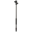 Buy Hama Ramble Duo Carbon Tripod with Smartphone Holder (160 Ball ) in india features reviews specs