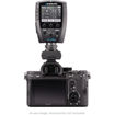 Westcott Sony Adapter for FJ-X2m Flash Trigger in India imastudent.com