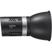 Godox ML30 150 LED Dainty Light in India imastudent.com
