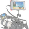 SmallRig 1960 Cold Shoe in India imastudent.com