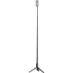 Insta360 2-in-1 Invisible Selfie Stick in India imastudent.com