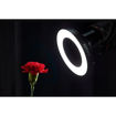 Godox Ring72 Macro LED Ring Light in India imastudent.com