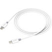 JOBY ChargeSync Cable USB-C2C 2M in India imastudent.com