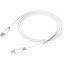 JOBY ChargeSync Cable USB-C2C 2M in India imastudent.com