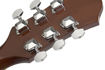 Epiphone DR-100 Acoustic Guitar price in india features reviews specs	