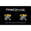 ProGrade Digital 256GB CFexpress 2.0 Type B Gold Memory Card (2-Pack) price in india features reviews specs	