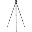 Sirui AM-254 4-Section Carbon Fiber Tripod with A10R Ball Head price in india features reviews specs	