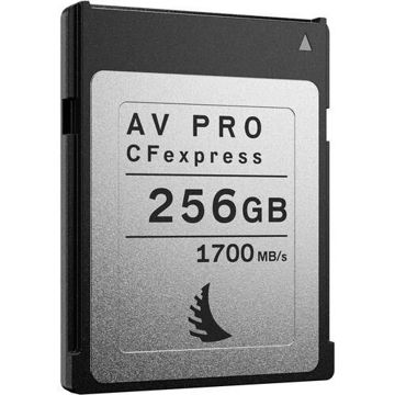 Angelbird 256GB AV Pro CFexpress 2.0 Type B Memory Card price in india features reviews specs