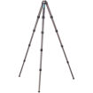 Leofoto LS-365C Ranger Series Compact Carbon Fiber Tripod in India imastudent.com