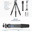 Leofoto LS-325C + LH-40 Travel Tripod Kit in India imastudent.com