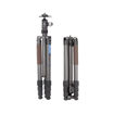 Leofoto Urban LX-324CT Carbon Fiber Tripod with XB-38 Ball Head in India imastudent.com