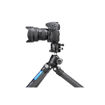 Leofoto LH-40GR Panorama Geared Ball Head with Panning clamp in India imastudent.com