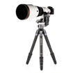 Benro GH2F Folding Gimbal Head in India imastudent.com