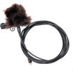 Rode Lavalier Microphone in India imastudent.com