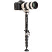Benro MSD36C SupaDupa Carbon Fiber Monopod in India imastudent.com