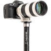 Benro MSD36C SupaDupa Carbon Fiber Monopod in India imastudent.com