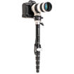 Benro MSDPL46C SupaDupa Carbon Fiber Monopod with Leveling Pan Head in India imastudent.com