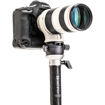 Benro MSDPL46C SupaDupa Carbon Fiber Monopod with Leveling Pan Head in India imastudent.com