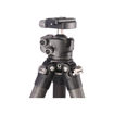 Leofoto LS-323C+LH-40 Professional Carbon Fiber Tripod in India imastudent.com