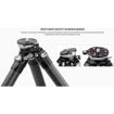 Leofoto LS-365CEX Ranger Series Carbon Fiber Tripod with 15° Leveling Base in India imastudent.com