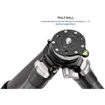 Leofoto LS-255CEX Ranger Series Carbon Fiber Tripod with 15° Leveling Base in India imastudent.com