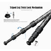 Leofoto Mr. Q LQ-284C+LH-36 Carbon Fiber Tripod with Ball Head in India imastudent.com