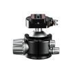 Leofoto LH-55LR + NP-50 Low Profile Ball Head with Plate in India imastudent.com