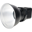 buy Sirui C60 Daylight LED Monolight (60W)  in India imastudent.com
