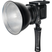 buy Sirui C60B Bi-Color LED Monolight (60W) in India imastudent.com