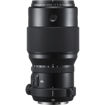 FUJIFILM GF 250mm f/4 R LM OIS WR Lens in India imastudent.com	