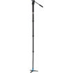 Benro A38T Classic Aluminum Monopod with S2 Head in India imastudent.com