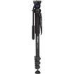 Benro A38F Classic Aluminum Monopod With S2 Head in India imastudent.com