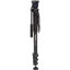 Benro A38F Classic Aluminum Monopod With S2 Head in India imastudent.com