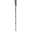 Benro A38F Classic Aluminum Monopod With S2 Head in India imastudent.com