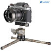 Leofoto MT-01 Mini Tripod with LH-25 Ball Head in India imastudent.com	