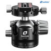 Leofoto LH-55R Tripod ball-head in India imastudent.com