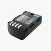 Newell Battery DMW-BLF19E in India imastudent.com