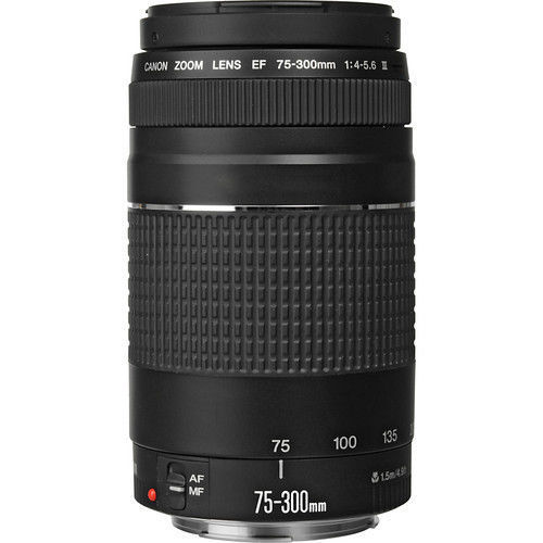 Buy Canon EF 75-300mm f/4-5.6 III Lens at Lowest Price in India