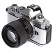 Megadap ETZ21 Sony E-Mount Lens to Nikon Z-Mount Autofocus Adapter in India imastudent.com