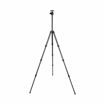 Sirui ST-224 + ST-20 Carbon Fiber Tripod in India imastudent.com