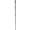 National Geographic NGPM001 4-Section Photo Monopod in India imastudent.com