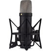 RODE NT1 5th Generation Large-Diaphragm Cardioid Condenser XLR/USB Microphone in India imastudent.com