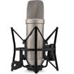 RODE NT1 5th Generation Large-Diaphragm Cardioid Condenser XLR/USB Microphone in India imastudent.com