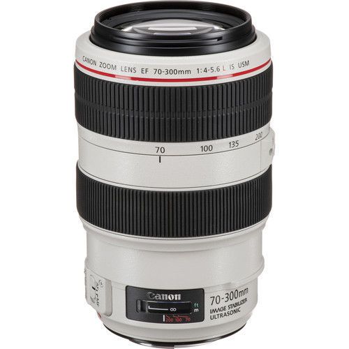 Buy Canon EF 70-300mm f/4-5.6 IS USM Lens Online in India at