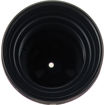 Lensbaby Obscura 50 Optic in India imastudent.com